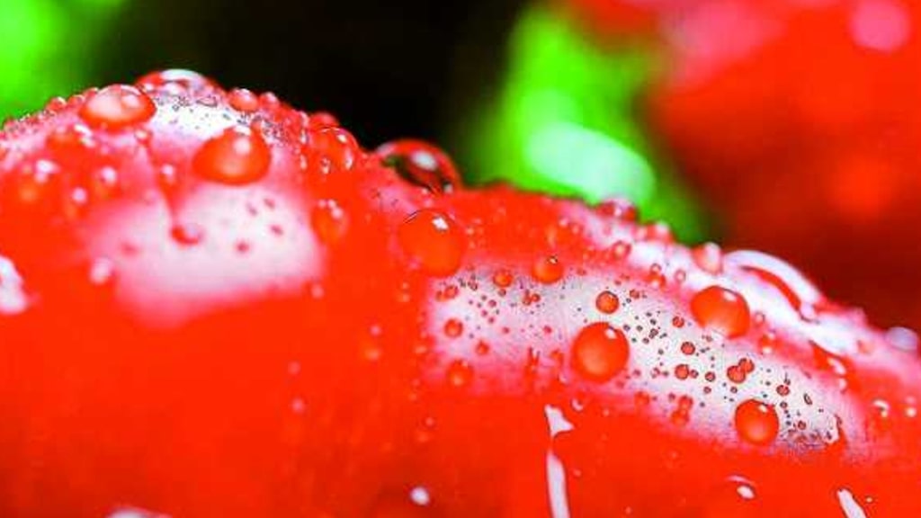 Tomate als Symbol fürs Wassersparen in der Küche