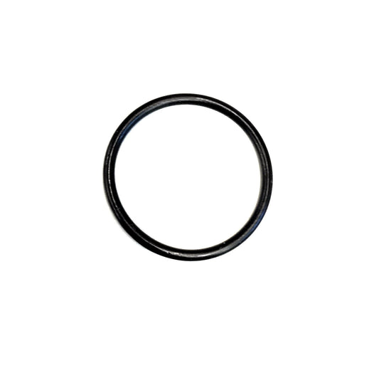 AquaClic Publique O-Ring gross, 25.5 x 2 (für Düsenlager fest), 5 Stück