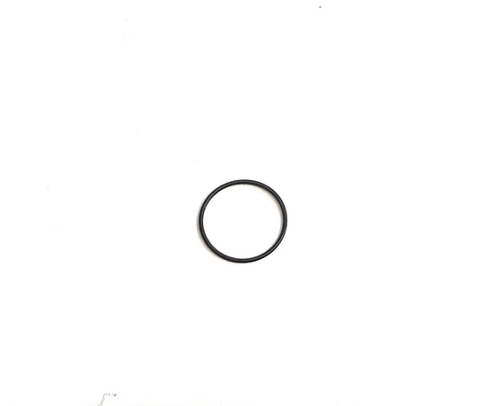 AquaClic Publique O-Ring klein, 19x1 (für Wandbolzen), 5 Stück