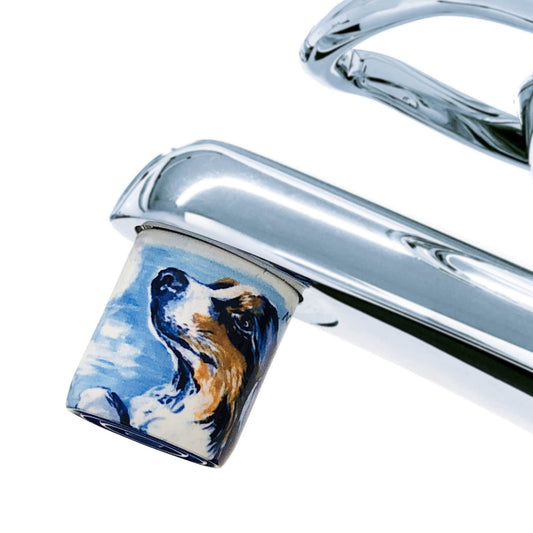AquaClic-Perlstrahlregler für den Hahn mit  Rex-Design: Senken Sie den Wasserverbrauch und sparen Sie Energie!