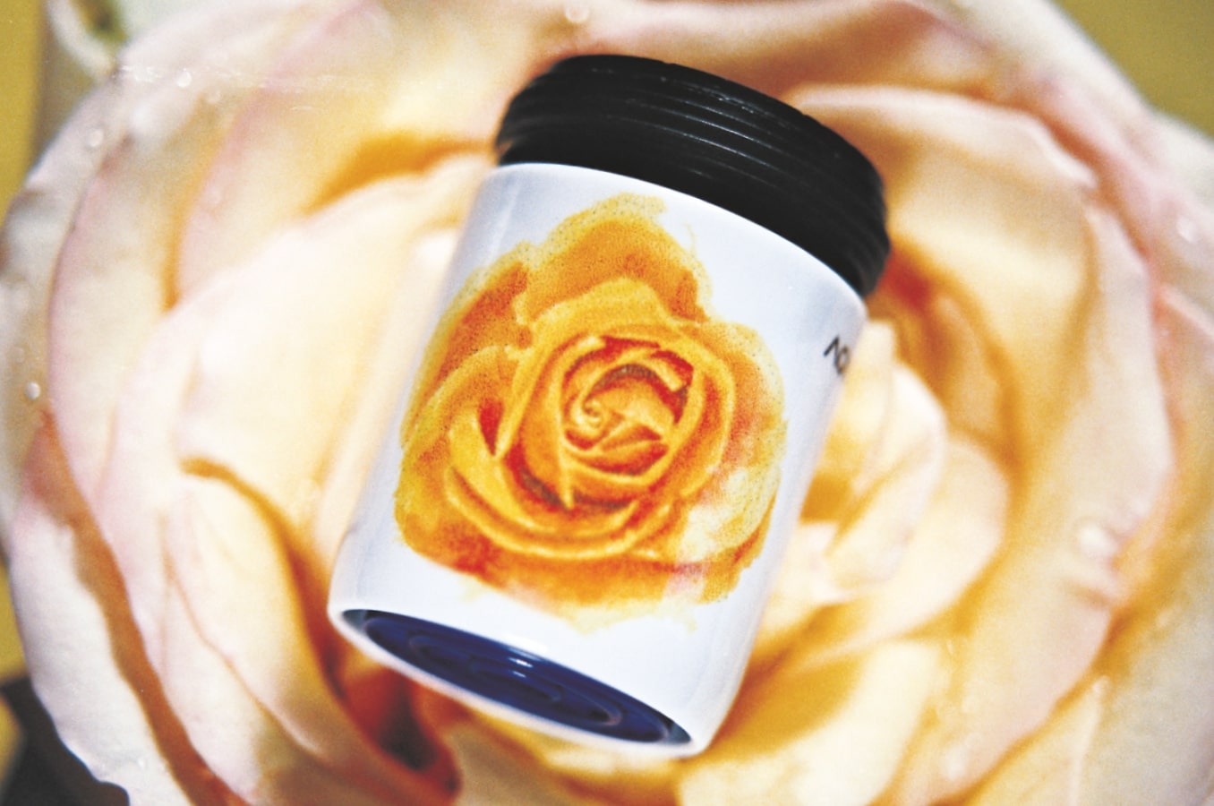 AquaClic-Perlstrahlregler für den Hahn mit  Rose rose-Design: Senken Sie den Wasserverbrauch und sparen Sie Energie!