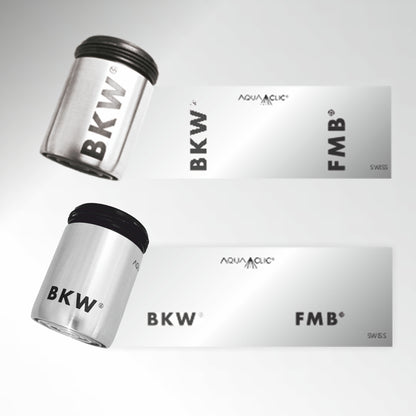 BKW Energy, BE